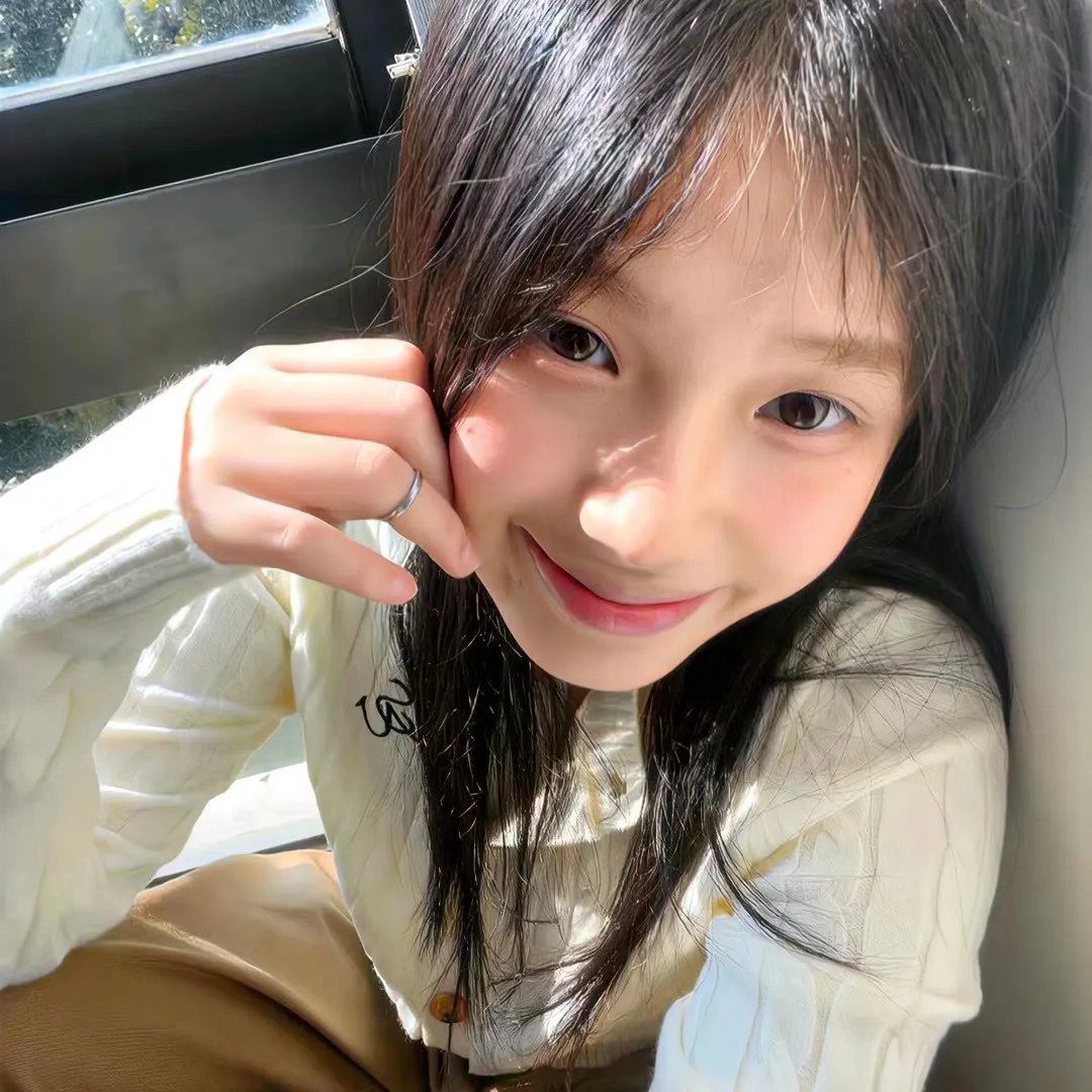儿女的战争封面