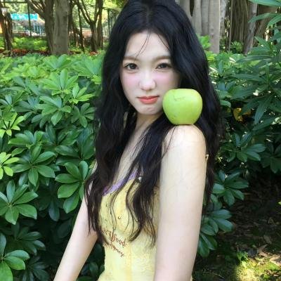 风愿封面