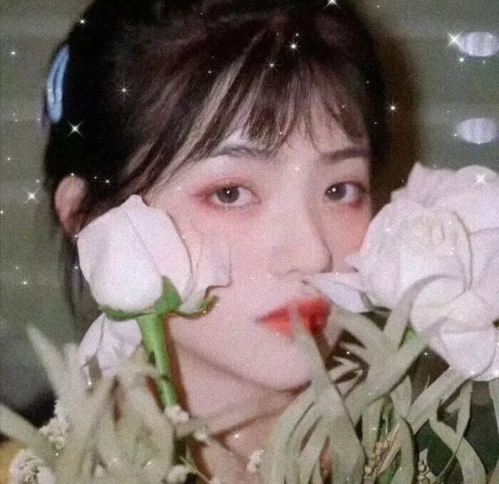 无名的恋歌封面